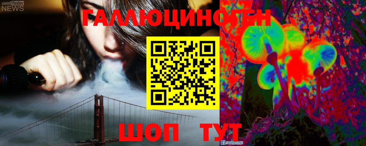 Дагестанские Огни  Псилоцибиновые грибы GOLDEN TEACHER  купить наркотики цена  Вход с VPN 